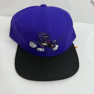 Mitchell & Ness Toronto Raptors Purple Fitted Hat Size 7 5/8
